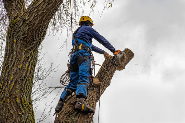 Mulching Services in Lake Mills, WI